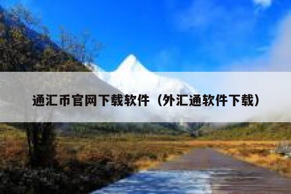 通汇币官网下载软件（外汇通软件下载） 第1张
