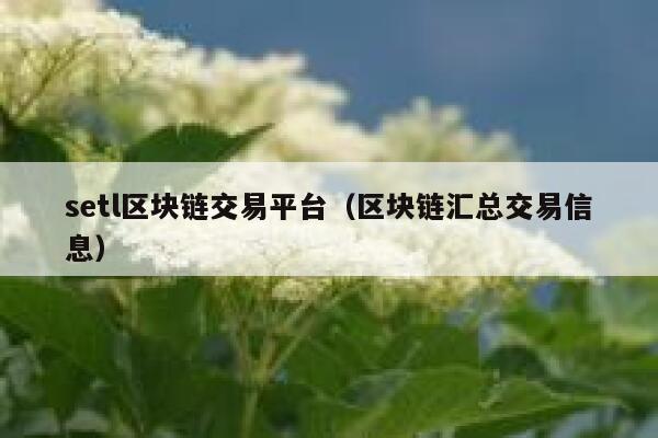 setl区块链交易平台(区块链汇总交易信息) 第1张 setl区块链交易平台(区块链汇总交易信息) 第1张