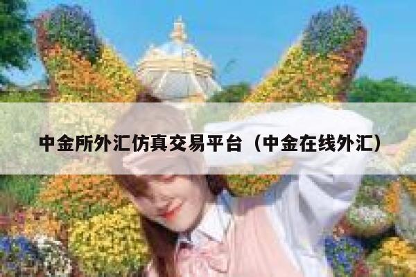 中金所外汇仿真交易平台(中金在线外汇) 第1张 中金所外汇仿真交易平台(中金在线外汇) 第1张