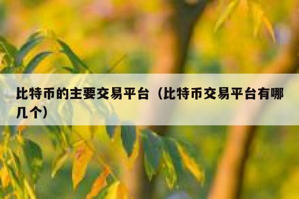 比特币的主要交易平台(比特币交易平台有哪几个) 第1张 比特币的主要交易平台(比特币交易平台有哪几个) 第1张