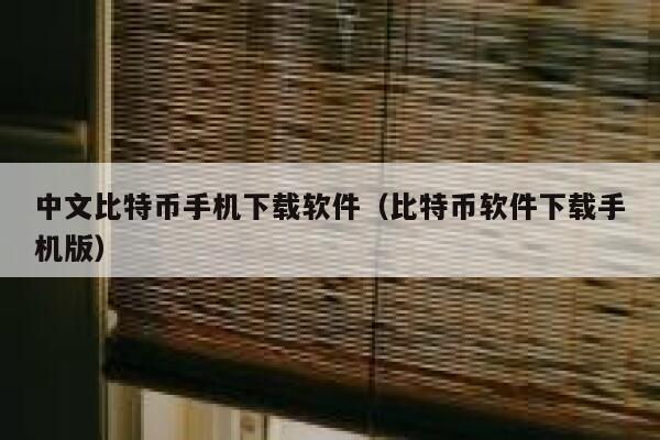 中文比特币手机下载软件（比特币软件下载手机版） 第1张