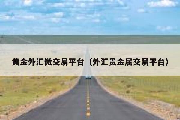 黄金外汇微交易平台(外汇贵金属交易平台) 第1张 黄金外汇微交易平台(外汇贵金属交易平台) 第1张