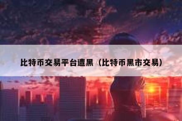 比特币交易平台遭黑（比特币黑市交易） 第1张