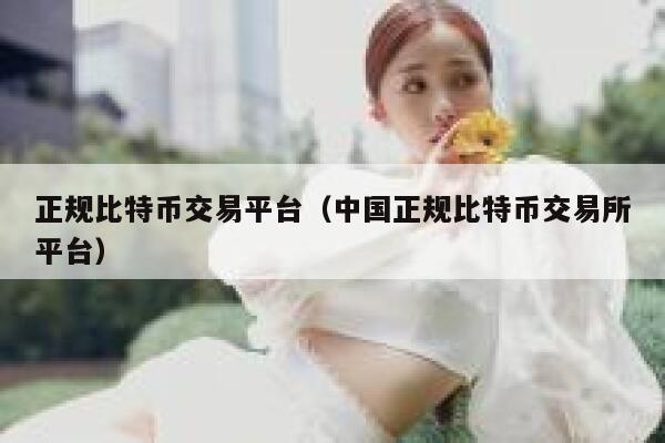 正规比特币交易平台（中国正规比特币交易所平台） 第1张
