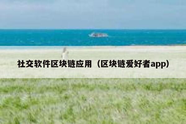 社交软件区块链应用(区块链爱好者app) 第1张 社交软件区块链应用(区块链爱好者app) 第1张