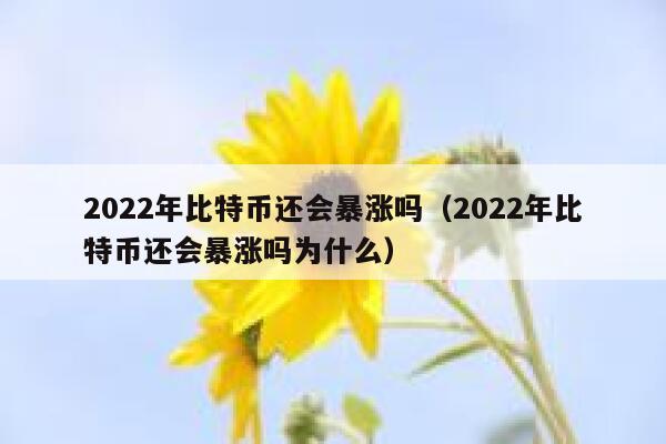 2022年比特币还会暴涨吗（2022年比特币还会暴涨吗为什么） 第1张