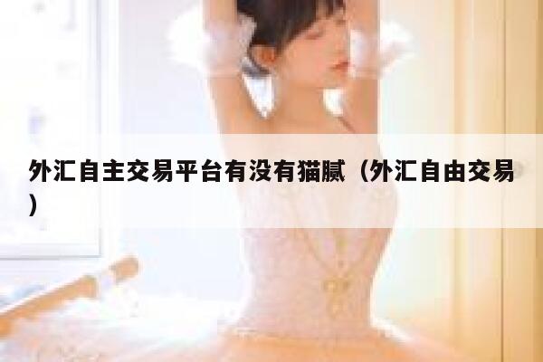 外汇自主交易平台有没有猫腻(外汇自由交易) 第1张 外汇自主交易平台有没有猫腻(外汇自由交易) 第1张