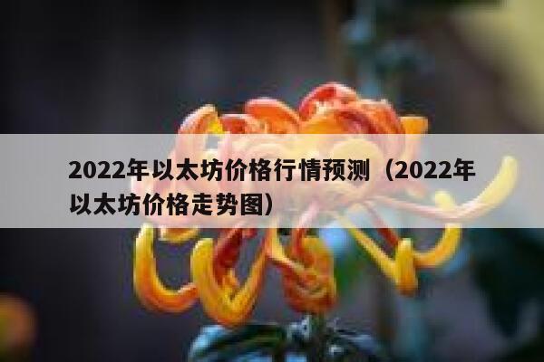 2022年以太坊价格行情预测(2022年以太坊价格走势图) 第1张 2022年以太坊价格行情预测(2022年以太坊价格走势图) 第1张