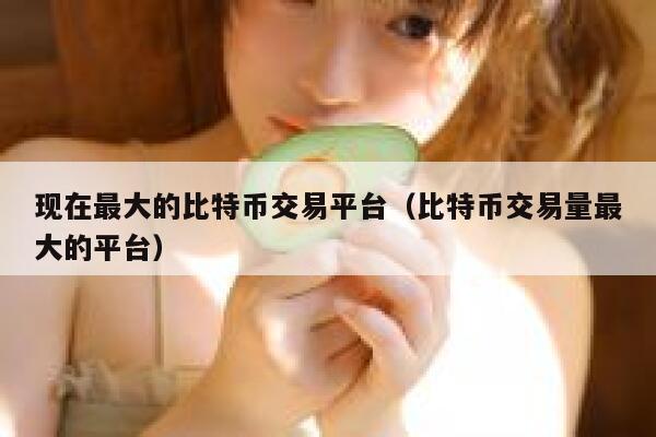 现在最大的比特币交易平台（比特币交易量最大的平台） 第1张