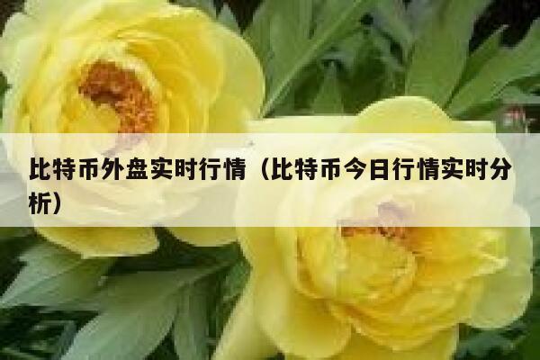 比特币外盘实时行情（比特币今日行情实时分析） 第1张