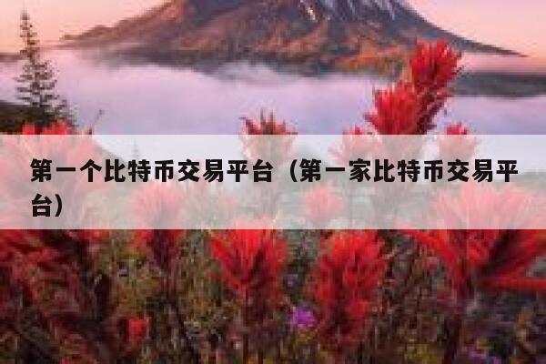第一个比特币交易平台（第一家比特币交易平台） 第1张