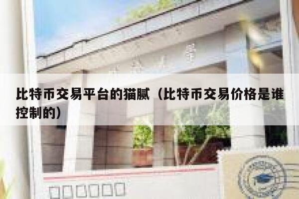 比特币交易平台的猫腻(比特币交易价格是谁控制的) 第1张 比特币交易平台的猫腻(比特币交易价格是谁控制的) 第1张
