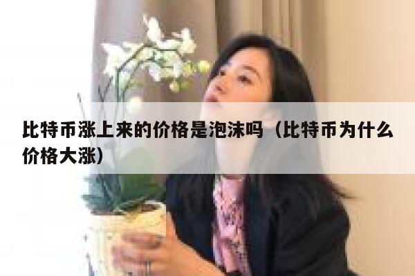 比特币涨上来的价格是泡沫吗(比特币为什么价格大涨) 第1张 比特币涨上来的价格是泡沫吗(比特币为什么价格大涨) 第1张