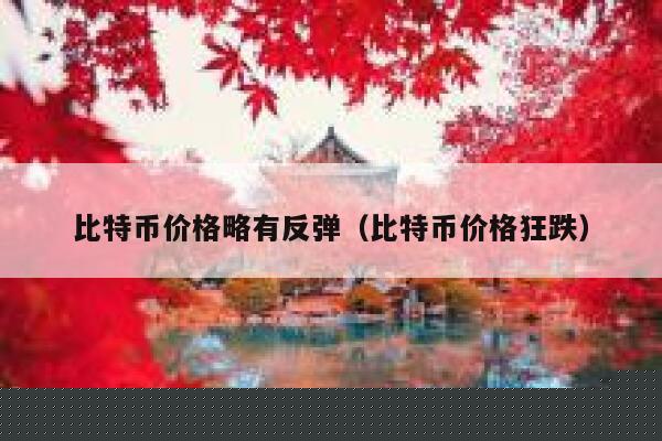 比特币价格略有反弹（比特币价格狂跌） 第1张