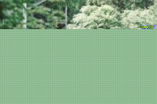 以太坊价格热（以太坊最新价格及行情） 第1张