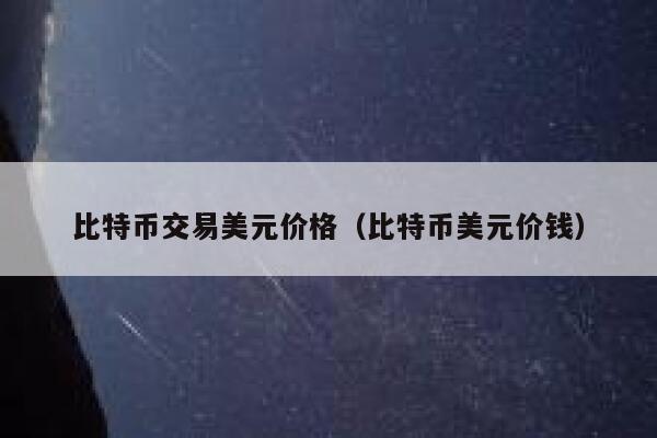 比特币交易美元价格（比特币美元价钱） 第1张
