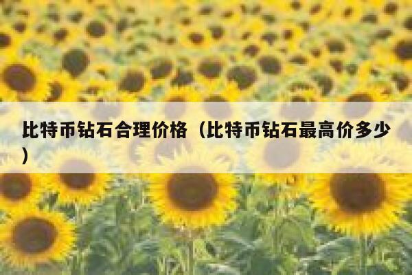 比特币钻石合理价格(比特币钻石最高价多少) 第1张 比特币钻石合理价格(比特币钻石最高价多少) 第1张