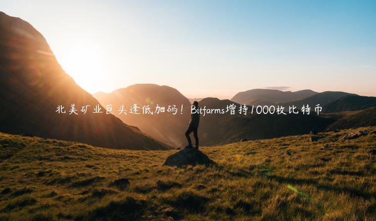 北美矿业巨头逢低加码！Bitfarms增持1000枚比特币