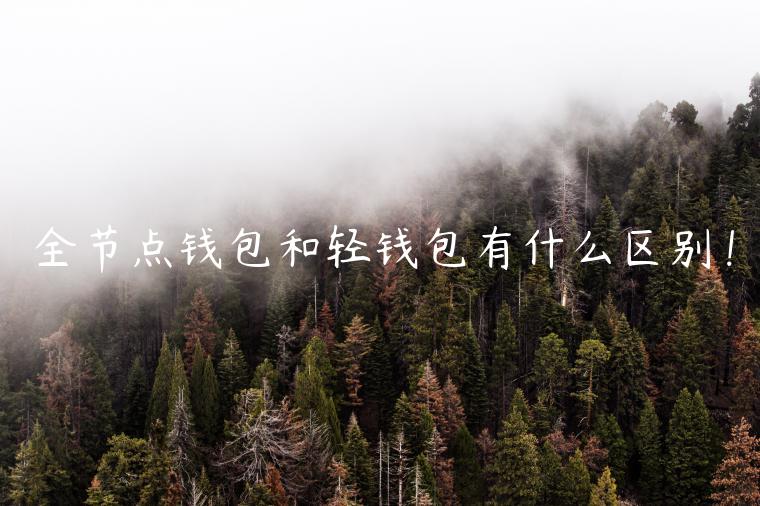 全节点钱包和轻钱包有什么区别! 全节点钱包和轻钱包有什么区别!