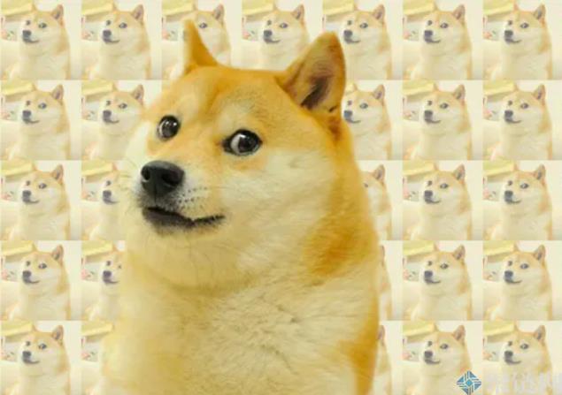 迷因NFT价值四百万美元!柴犬迷因原图即将碎片化 9/2开卖 迷因NFT价值四百万美元!柴犬迷因原图即将碎片化 9/2开卖
