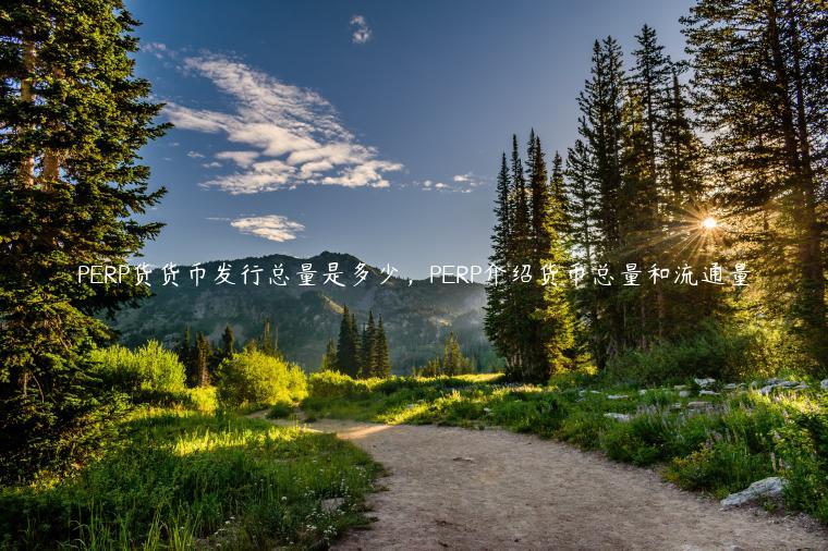 PERP货货币发行总量是多少,PERP介绍货币总量和流通量 PERP货货币发行总量是多少,PERP介绍货币总量和流通量