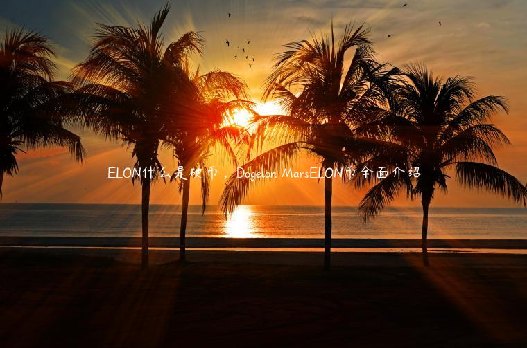 ELON什么是硬币,Dogelon MarsELON币全面介绍 ELON什么是硬币,Dogelon MarsELON币全面介绍