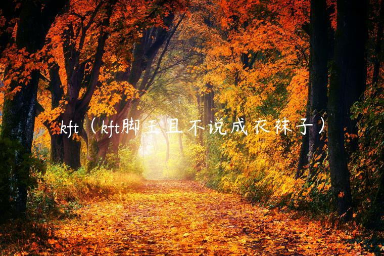 kft(kft脚王且不说成衣袜子) kft(kft脚王且不说成衣袜子)