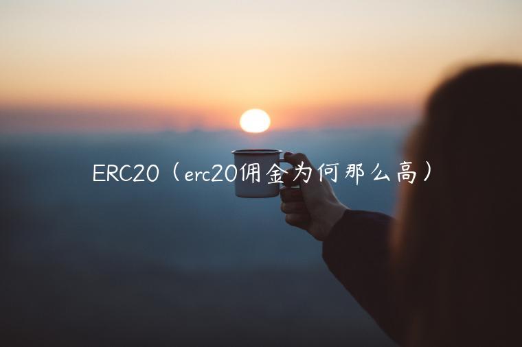 ERC20(erc20佣金为何那么高) ERC20(erc20佣金为何那么高)