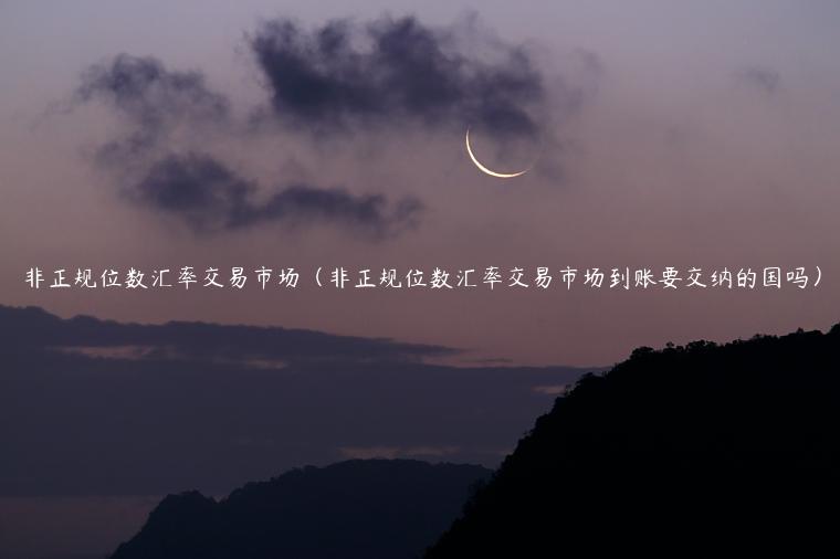 非正规位数汇率交易市场(非正规位数汇率交易市场到账要交纳的国吗) 非正规位数汇率交易市场(非正规位数汇率交易市场到账要交纳的国吗)