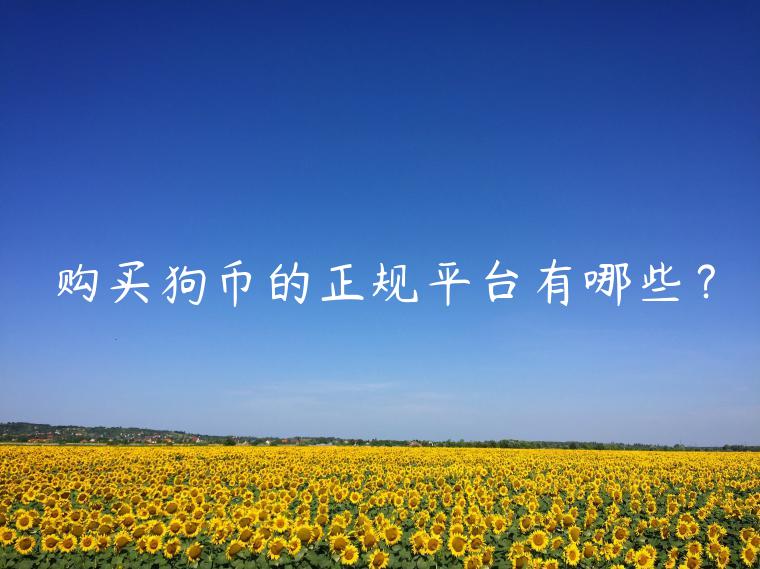 购买狗币的正规平台有哪些? 购买狗币的正规平台有哪些?