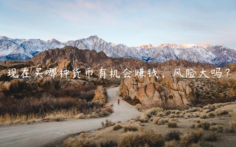 现在买哪种货币有机会赚钱,风险大吗? 现在买哪种货币有机会赚钱,风险大吗?