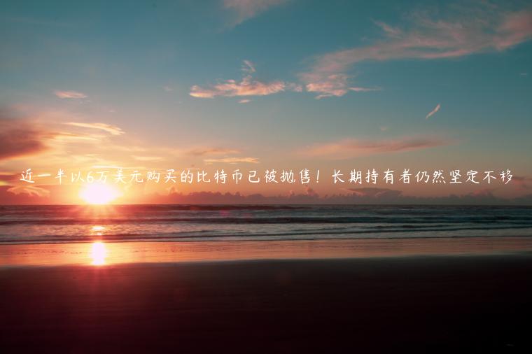 近一半以6万美元购买的比特币已被抛售!长期持有者仍然坚定不移 近一半以6万美元购买的比特币已被抛售!长期持有者仍然坚定不移