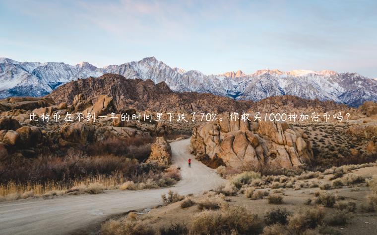 比特币在不到一年的时间里下跌了70%。你敢买1000种加密币吗? 比特币在不到一年的时间里下跌了70%。你敢买1000种加密币吗?