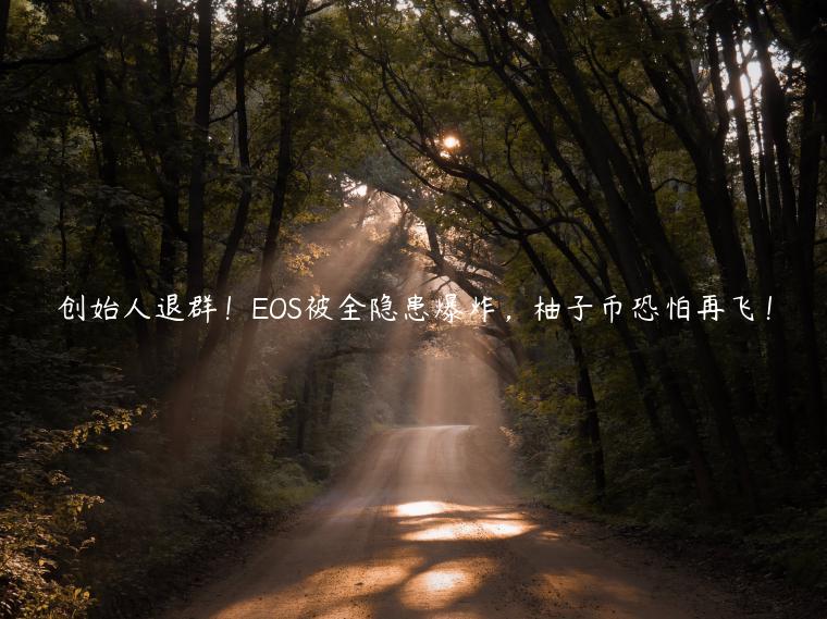 创始人退群!EOS被全隐患爆炸,柚子币恐怕再飞! 创始人退群!EOS被全隐患爆炸,柚子币恐怕再飞!