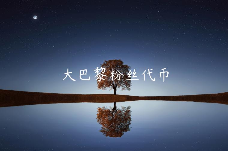 大巴黎粉丝代币 大巴黎粉丝代币