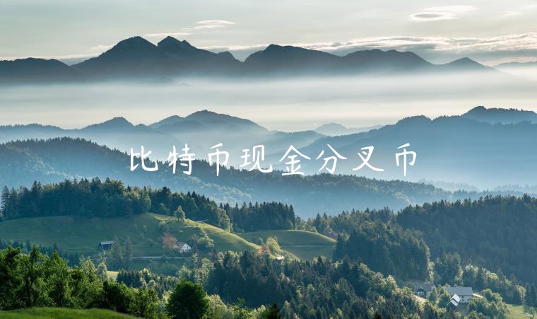 比特币现金分叉币 比特币现金分叉币