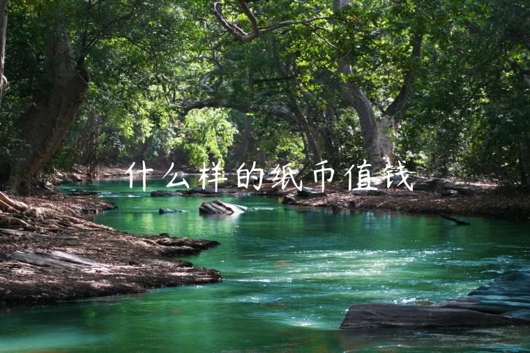 什么样的纸币值钱 什么样的纸币值钱