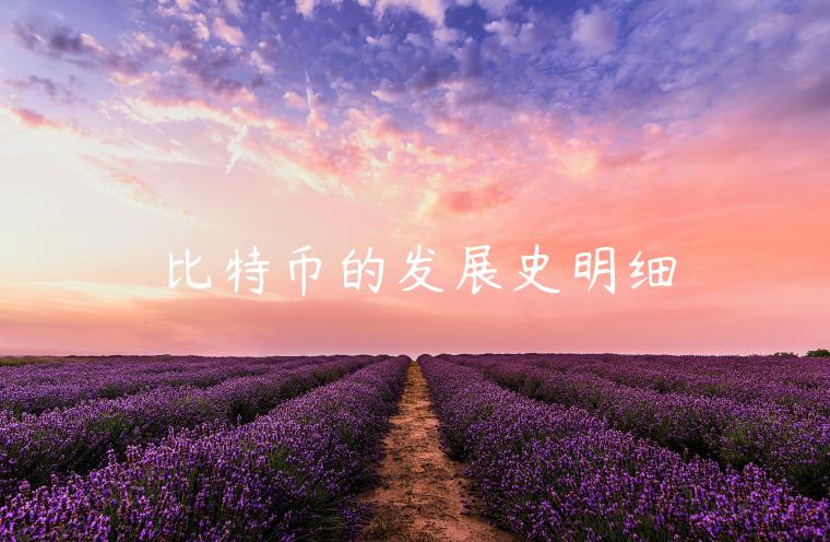 比特币的发展史明细 比特币的发展史明细