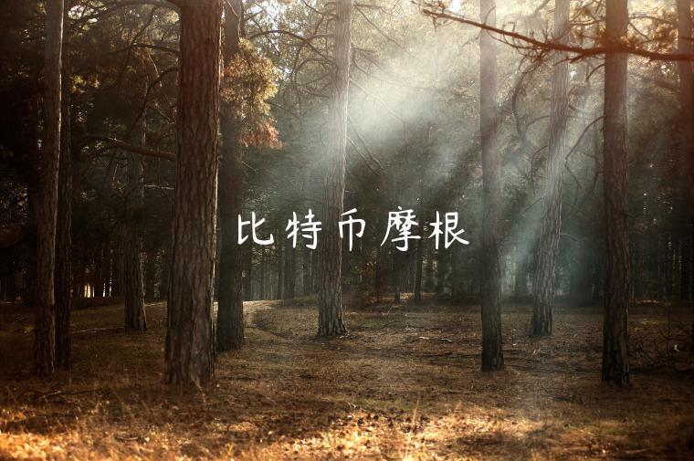 比特币摩根 比特币摩根