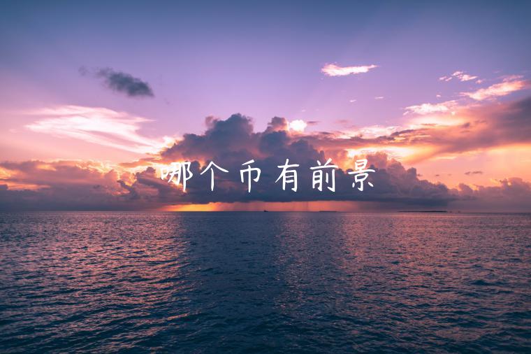 哪个币有前景 哪个币有前景
