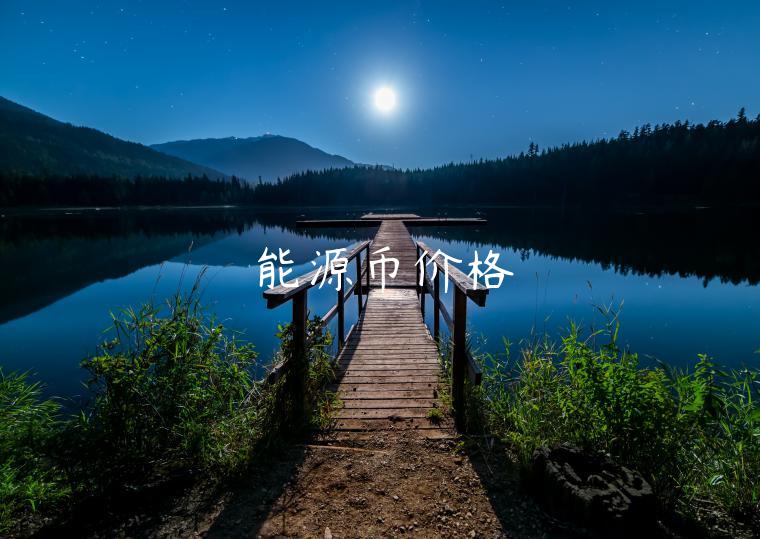 能源币价格 能源币价格