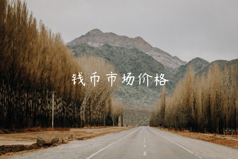 钱币市场价格 钱币市场价格