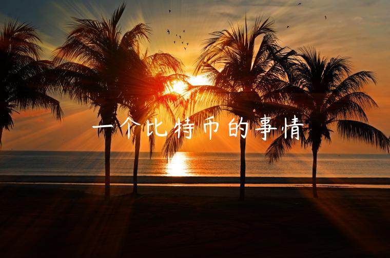 一个比特币的事情 一个比特币的事情