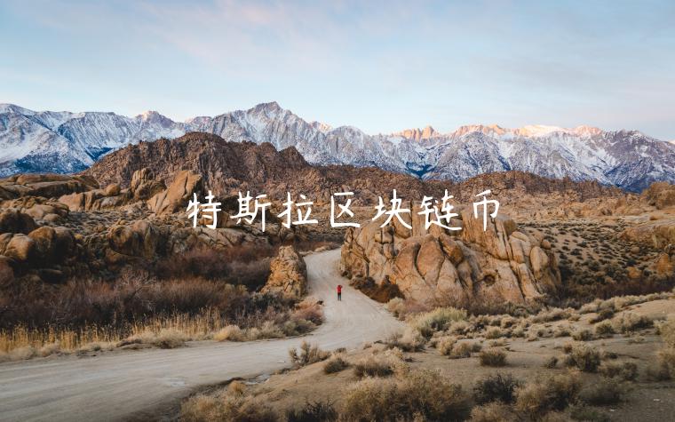 特斯拉区块链币 特斯拉区块链币