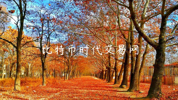 比特币时代交易网 比特币时代交易网