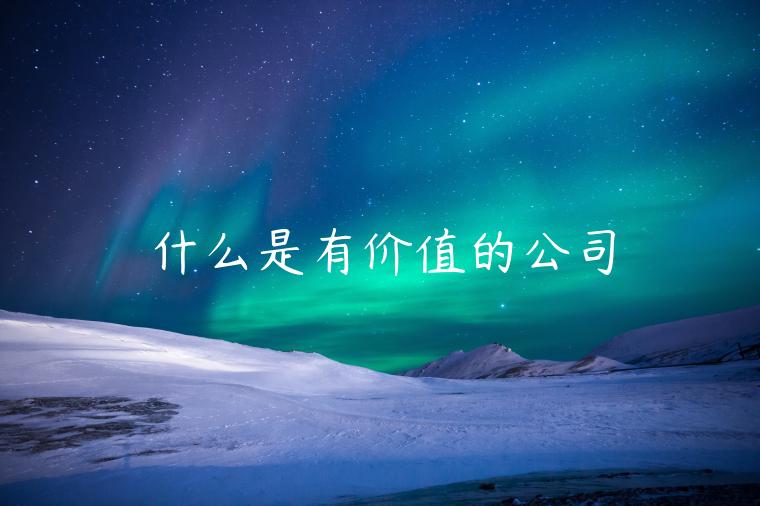 什么是有价值的公司 什么是有价值的公司