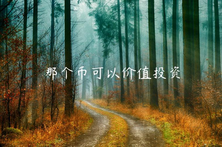 那个币可以价值投资 那个币可以价值投资
