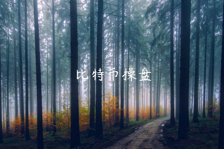 比特币操盘 比特币操盘