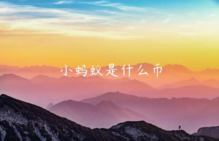小蚂蚁是什么币 小蚂蚁是什么币