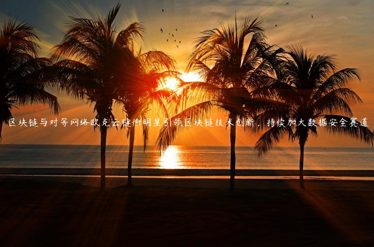 区块链与对等网络欧克云链徐明星引领区块链技术创新,持续加大数据安全赛道 区块链与对等网络欧克云链徐明星引领区块链技术创新,持续加大数据安全赛道